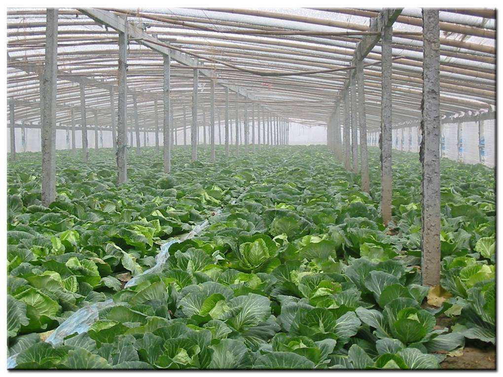 德瑞亞空壓機(jī)助力食品加工，節(jié)能無止盡