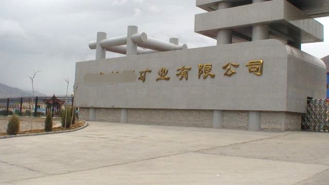 山東某大型礦業集團